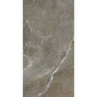 Керамогранит Lasselsberger Гроза 6493-0146 60*120 бежево-коричневый